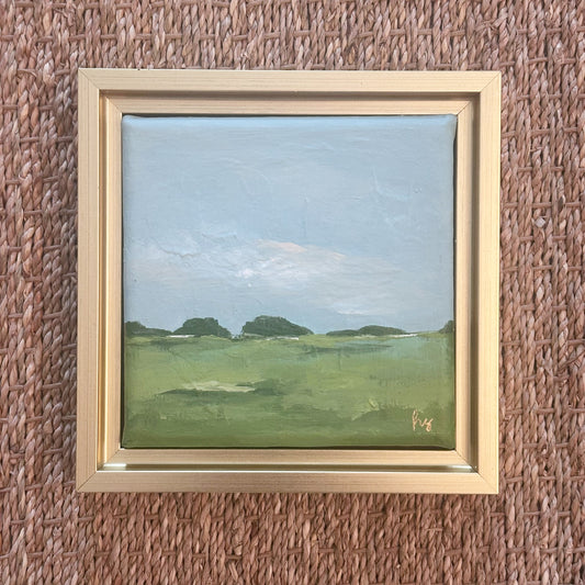 Morning Meadow